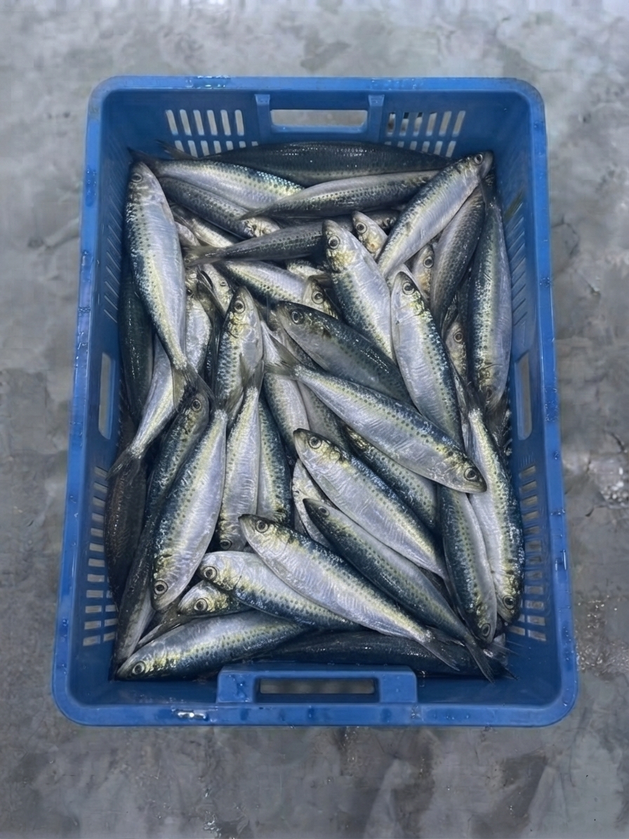 Caballa
